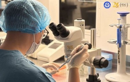 Chuyên viên phôi thực hiện rửa phôi bào trong sàng lọc phôi tại phòng Lab - Trung tâm Hỗ trợ sinh sản Quốc gia