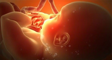 Hình ảnh thai nhi trong tử cung